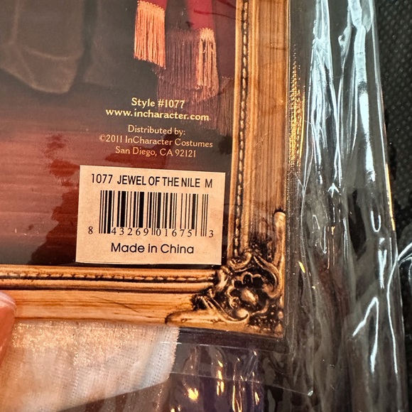 Jewel of the Nile costume - Picture 2 of 5